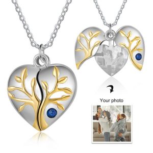 Heart-shaped necklace Personalised Photo with Gold Detailing & Birthstone