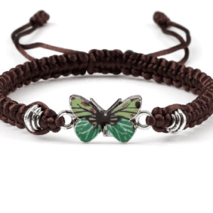 Sweet Shining Butterfly Bracelet in Brown & Green