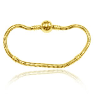 Moments Bracelet - Gold - add Pandora Charms to this!
